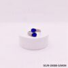 PLATA/AZUL