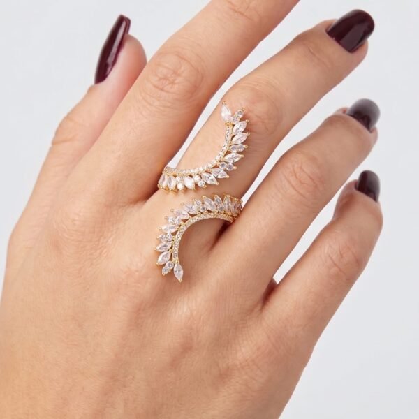 ANILLOS